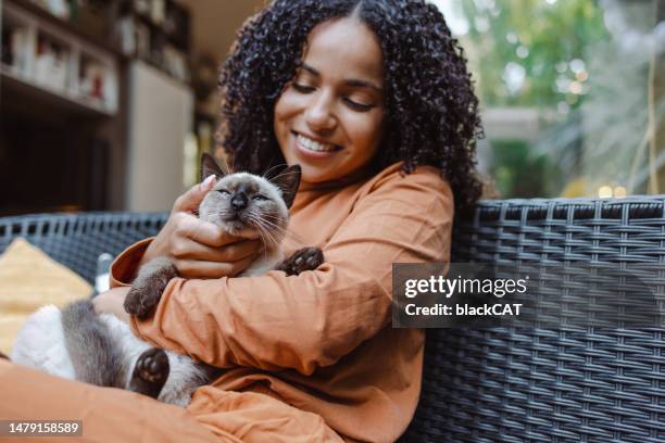 shot of a beautiful young woman enjoying a cuddle with her cat - siamese cat stock pictures, royalty-free photos & images