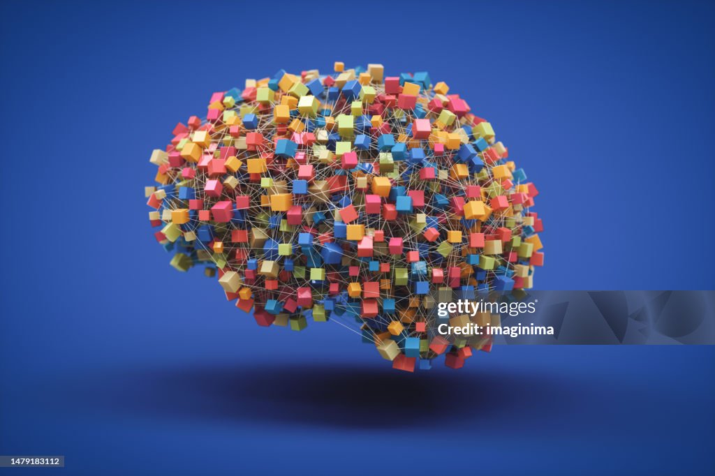 Colorful Brain Connections