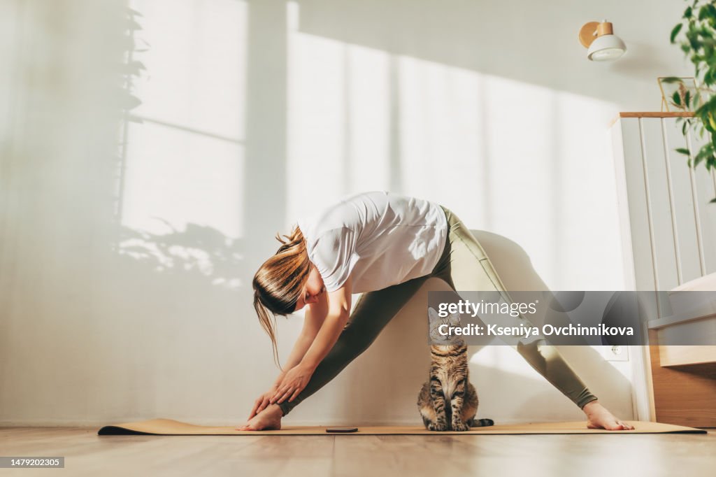 Young attractive smiling woman practicing yoga, stretching in Scorpion exercise, variation of vrischikasana pose, working out, wearing sportswear, grey pants, bra, indoor full length, home interior