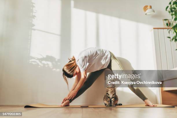 young attractive smiling woman practicing yoga, stretching in scorpion exercise, variation of vrischikasana pose, working out, wearing sportswear, grey pants, bra, indoor full length, home interior - yoga stockfoto's en -beelden