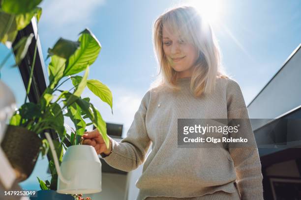 fertilizer for plants, new season vegetation. smiling blond woman watering potted peace lily at her balcony. - watering succulent stock pictures, royalty-free photos & images