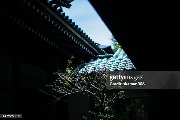 light and shadow japanese traditional architecture with bonsai tree - japanese rock garden stock pictures, royalty-free photos & images