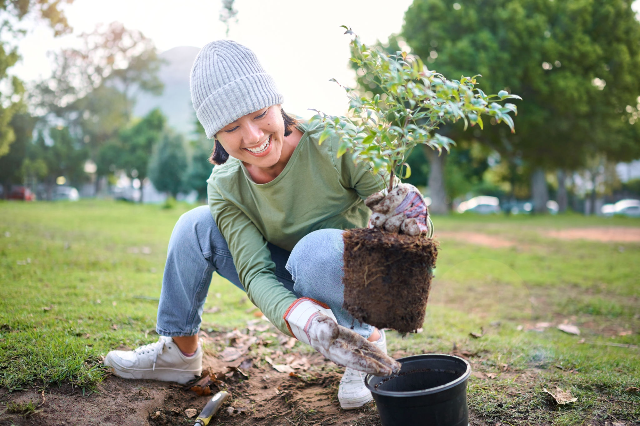 volunteer planting trees