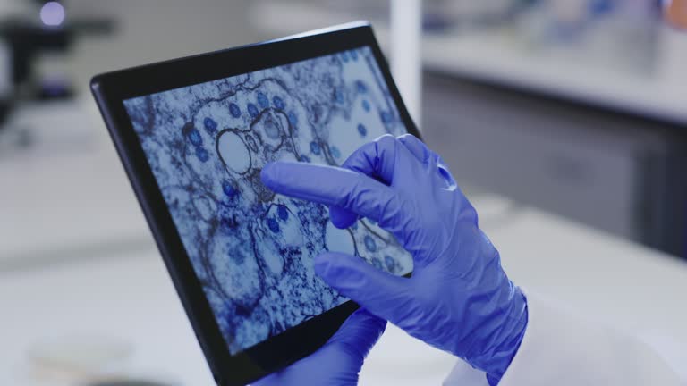 288 Medical Lab Tablet Stock Videos, Footage, & 4K Video Clips - Getty ...