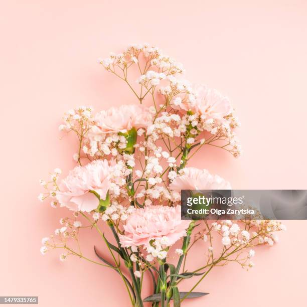 bouquet of cream colored carnations with white gypsophila. - flower arrangement carnation stock pictures, royalty-free photos & images