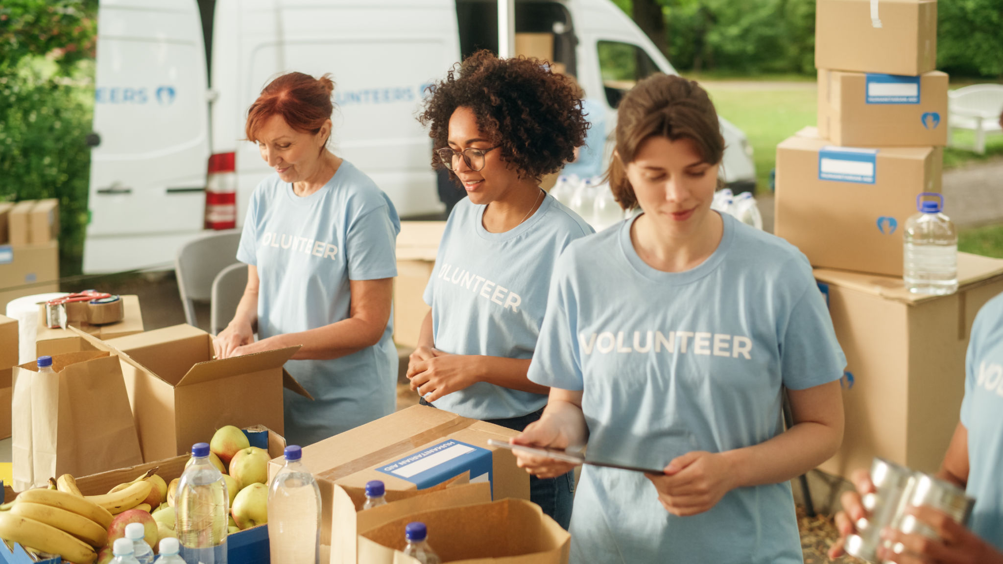 volunteer preparation