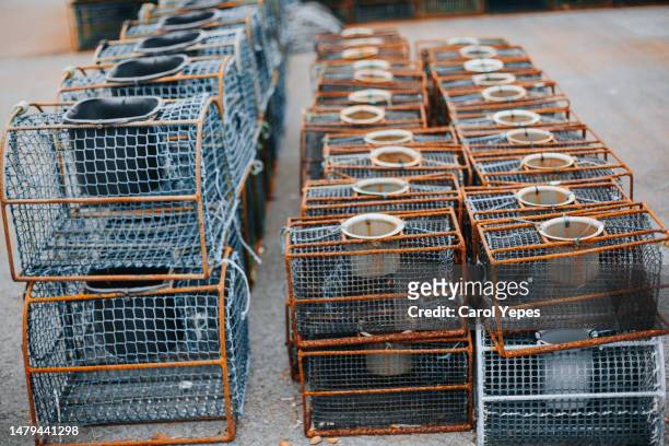 shot of lobster traps - animal back stock pictures, royalty-free photos & images