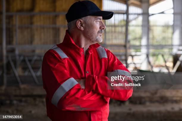 farmer looking out at the farm yard - coveralls stock pictures, royalty-free photos & images