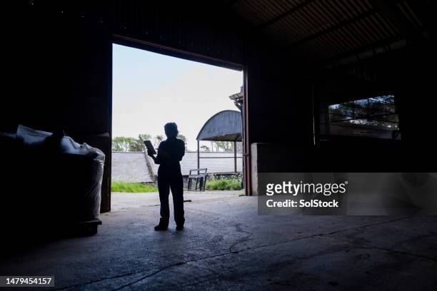 standing out from the crowd - farmer silhouette stock pictures, royalty-free photos & images