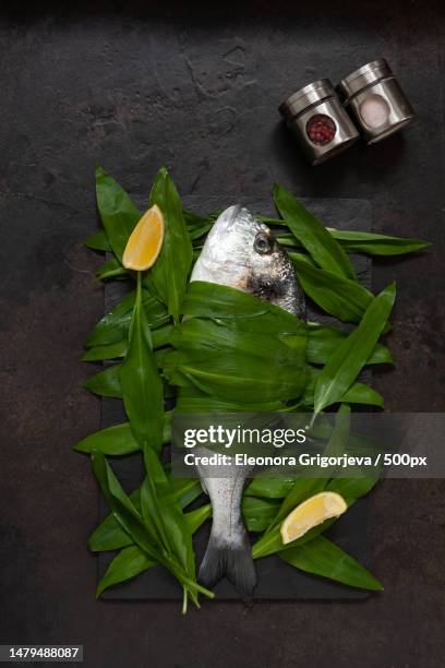 fresh dorado fish with wild garlic leaves,lemon slices and spices top view,close up,copy space,united kingdom,uk - sea bream stock pictures, royalty-free photos & images