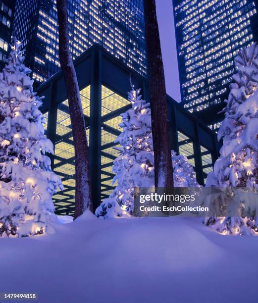 magically lit christmas trees in front of modern office buildings - christmas winter wonderland stock pictures, royalty-free photos & images
