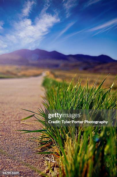 grassy mountains - arvada colorado stock pictures, royalty-free photos & images