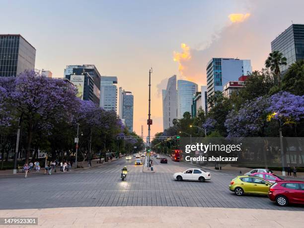 sunset at reforma avenue on springtime - mexico skyline stock pictures, royalty-free photos & images