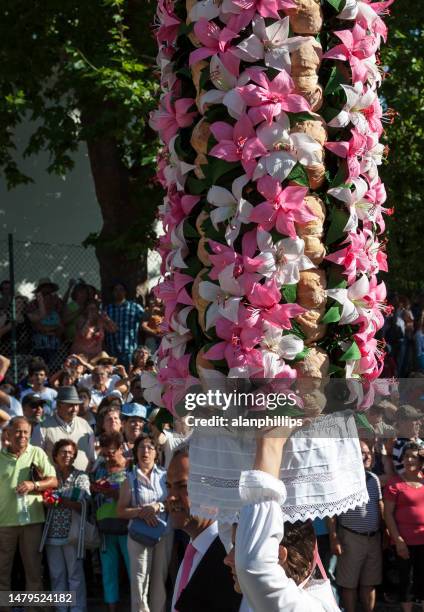 detail of the parade of the festa dos tabuleiros. - tomar stock pictures, royalty-free photos & images