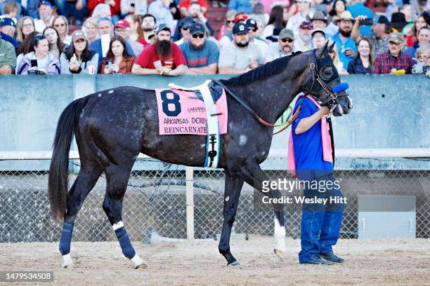 Reincarnate is paraded in front of fans at Oaklawn Park and Casino before the running of the 87th Arkansas Derby at Oaklawn Park on April 01, 2023 in...