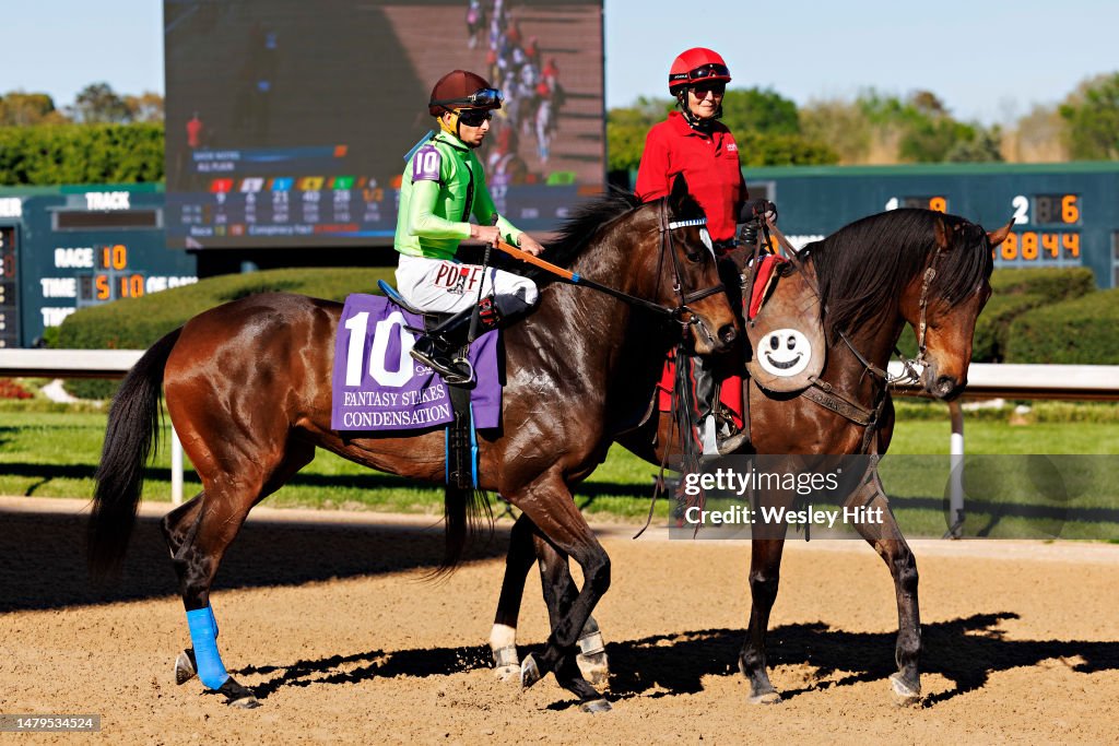 Condensation is paraded in front of fans at Oaklawn Park and Casino