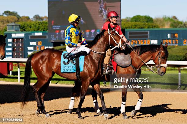 Olivia Twist is paraded in front of fans at Oaklawn Park and Casino before the running of the 51st running of the Fantasy Stakes at Oaklawn Park on...