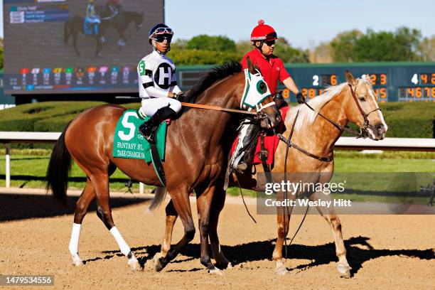 Take Charge Briana is paraded in front of fans at Oaklawn Park and Casino before the running of the 51st running of the Fantasy Stakes at Oaklawn...