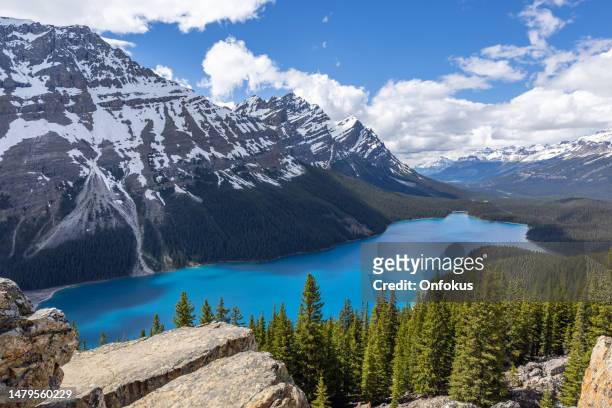 peyto lake, banff national park, alberta, canada during summer - peyto lake stock pictures, royalty-free photos & images