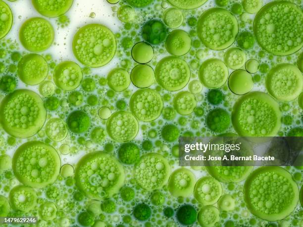 close-up of bubbles of liquid floating on white liquid. - stem cell background stock pictures, royalty-free photos & images