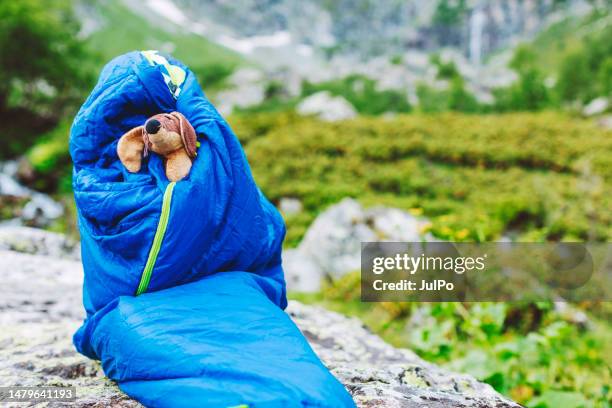 boy in sleeping bag with his stuffed toy - sleeping bag stock pictures, royalty-free photos & images