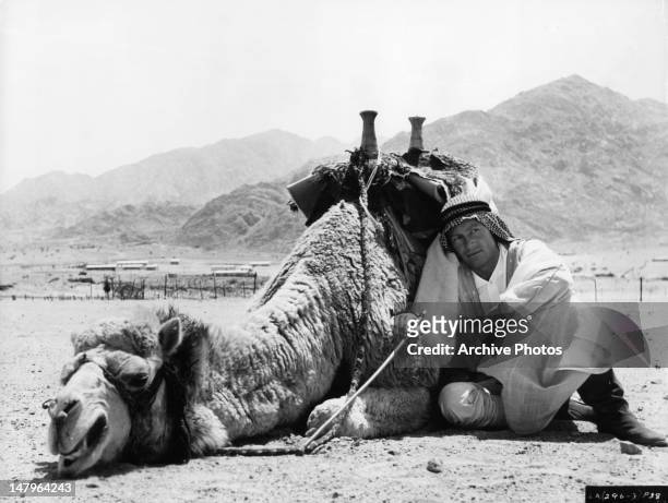Peter O'Toole with his camel Shagran in between scenes from the film 'Lawrence Of Arabia', 1962.