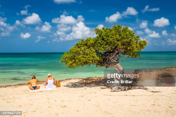 zwei frauen saßen an einem karibischen strand - aruba beach stock-fotos und bilder