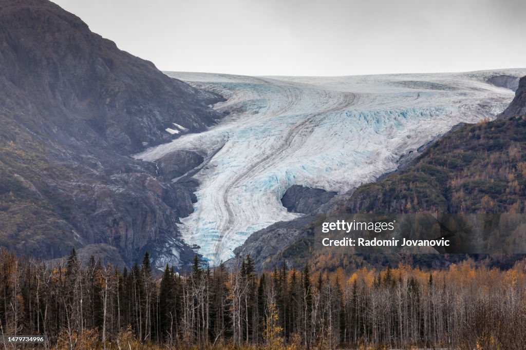 Exit Glacier in Kenai Fjords national Park