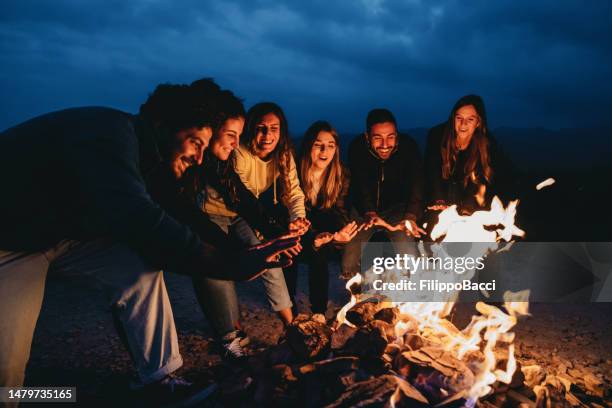 friends are having fun together near a fireplace outdoor - open fire stock pictures, royalty-free photos & images