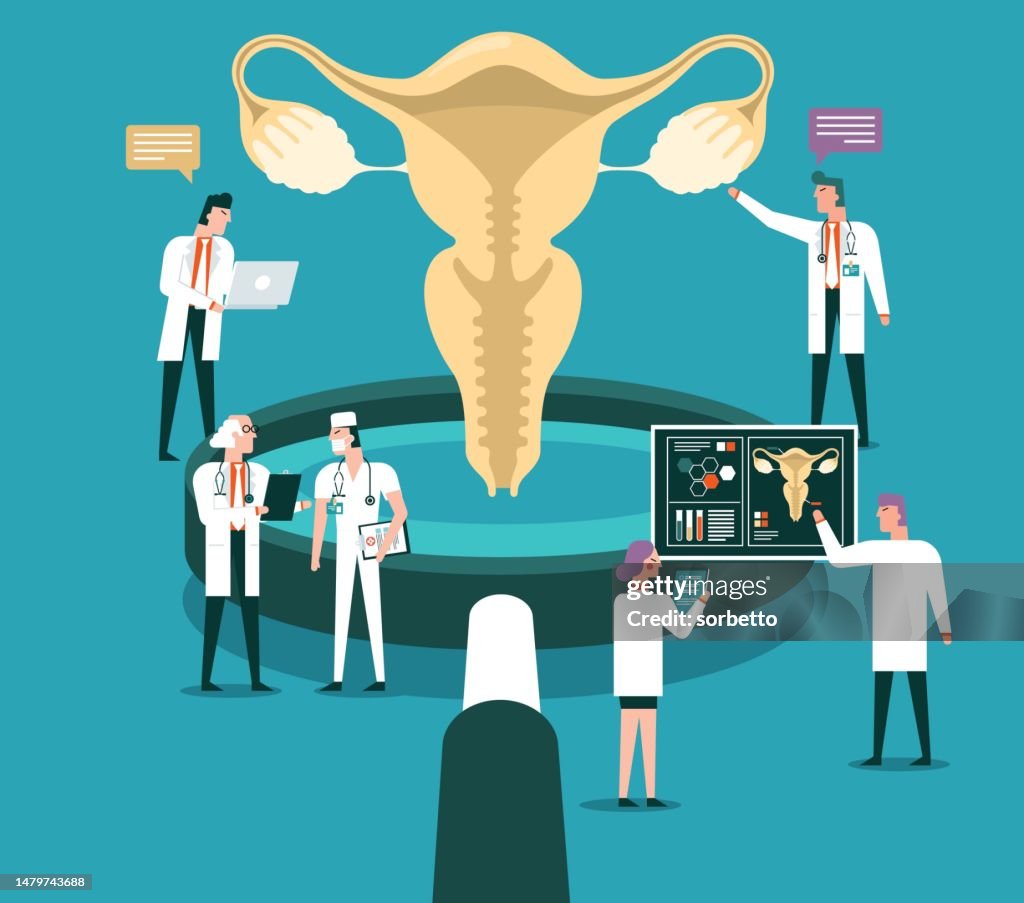Woman's reproductive organ - check-up
