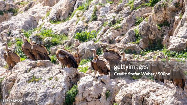 low angle view of rocks on mountain,spanien,spain - spanien stock pictures, royalty-free photos & images