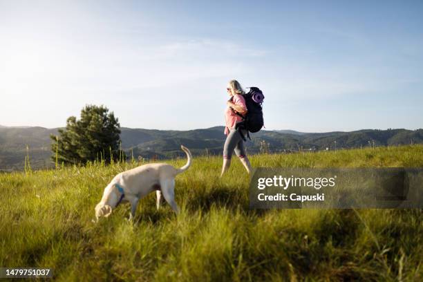 senior woman on a hike with her pets - golden hour woman stock pictures, royalty-free photos & images