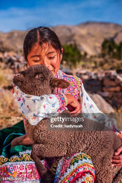 peruanische junge mädchen in nationalkleidung in der nähe von colca canyon, peru - arequipa stock-fotos und bilder