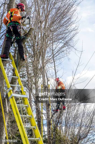 182 04042023 Stock Photos, High-Res Pictures, and Images - Getty Images
