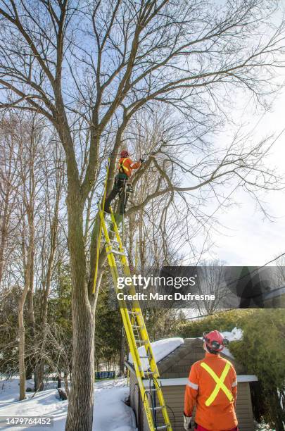182 04042023 Stock Photos, High-Res Pictures, and Images - Getty Images