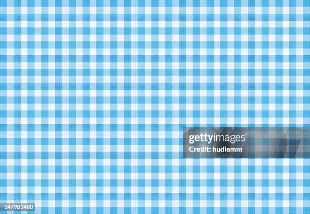 vektor blau karierte stoff hintergrund textur - tartan muster stock-grafiken, -clipart, -cartoons und -symbole