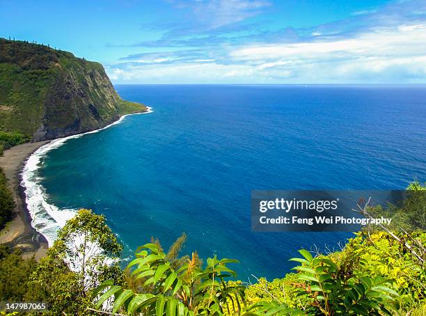 waipio valley - waipio valley stock-fotos und bilder