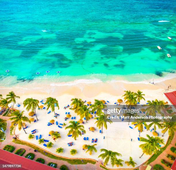 palm-fringed beach from above, caribbean sea - bora bora beach stock pictures, royalty-free photos & images