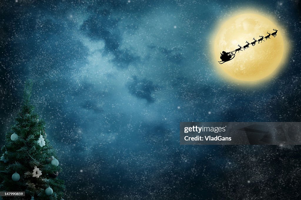 Christmas Flight