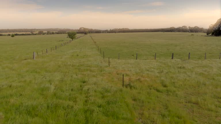 Rustling Grasses Wind Solar Australia Videos and HD Footage - Getty Images