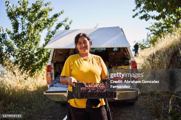 farmer with a box of cherries next to a car - autobauer stock-fotos und bilder