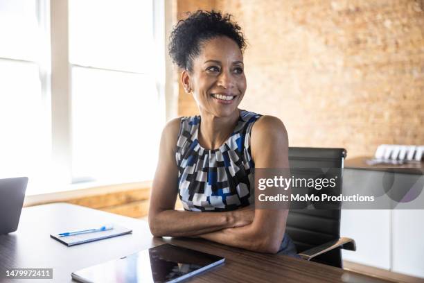portrait of businesswoman in modern conference room - senior vice president fotografías e imágenes de stock