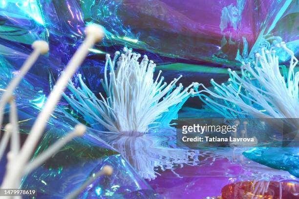 abstract psychedelic composition of mushrooms and iridescent colored film. bright, extraordinary backdrop for beauty products, pills, drugs. surreal futuristic background - enoki mushroom stock-fotos und bilder