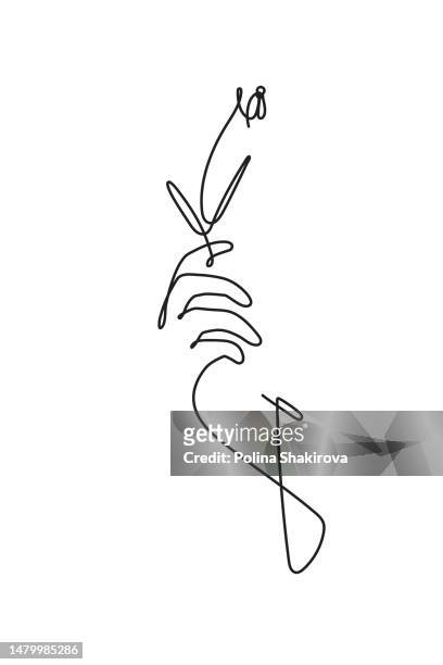 continuous line drawing of a gentle hand with a flower. vector illustration isolated on white background. - snowdrop stock illustrations