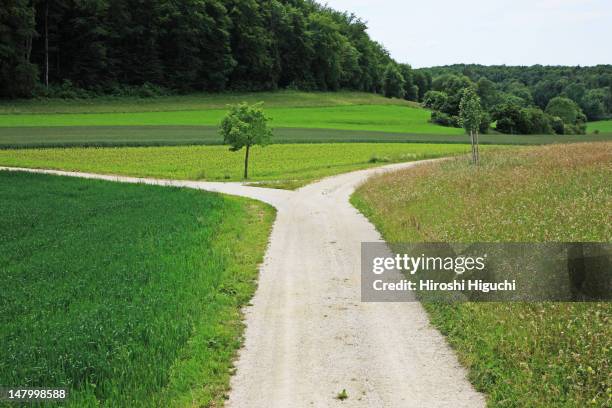 a branch road - encrucijada en el camino fotografías e imágenes de stock