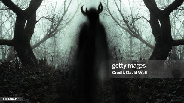 a  blurred ghostly figure appearing on a path, like a pagan spirit, in a spooky forest with trees silhouetted on a moody foggy winters day. - devil stock pictures, royalty-free photos & images