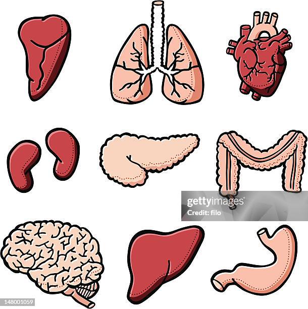 144 Human Backbone Cartoon Photos and Premium High Res Pictures - Getty Images 144 Human Backbone Cartoon Photos and Premium High Res Pictures - Getty Images