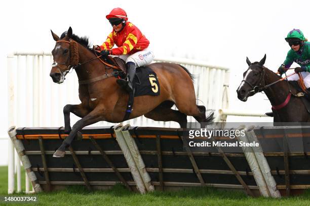 Olive Nicholls riding Oscars Moonshine clears the last on the way to winning the Respect in Racing Amateur Jockey's Handicap hurdle race at Wincanton...