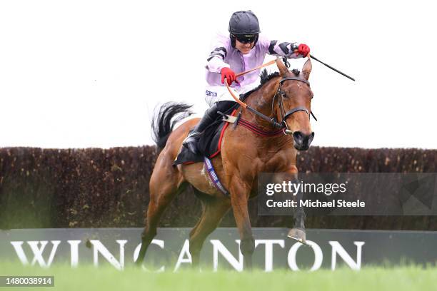 Tom Bellamy riding Wouldubewell clears the last on his way to winning the Irish Store Sales With Irish Thoroughbread Marketing Mares' Handicap...