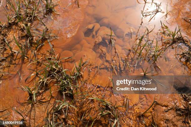 Polluted water runs from grounds of the former Northeye prison on April 05, 2023 in Bexhill, England. The Home Office recently announced that the...